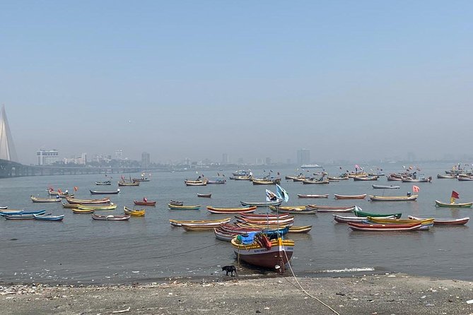 Worli Fishing Village Tour - Visitor Experiences