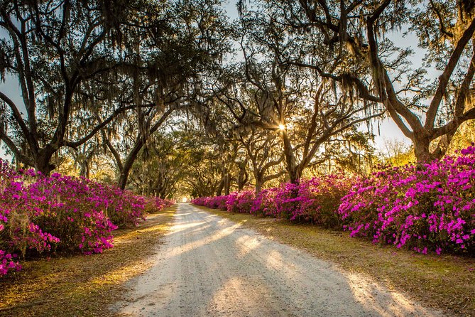 Wormsloe Historic Site & Bonaventure Cemetery Tour From Savannah - Wormsloe Historic Site