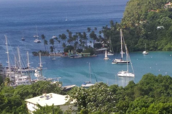 Wow Tours St. Lucia (COVID-19 Certified) - Culinary and Local Culture