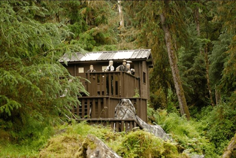 Wrangell: Anan Bear and Wildlife Viewing Adventure - Additional Considerations