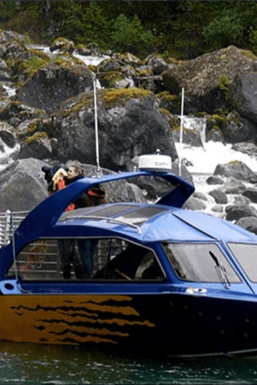 Wrangell: Leconte Glacier Boat Tour - Included in the Tour