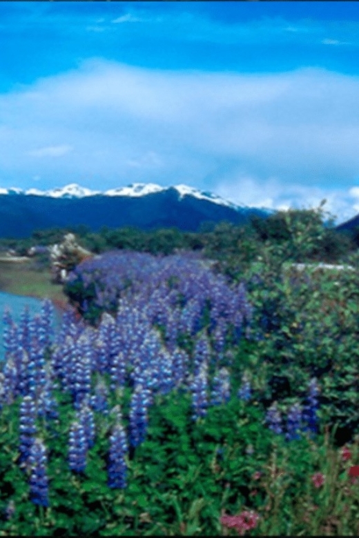 Wrangell: Stikine River Boat Tour - Guides and Safety