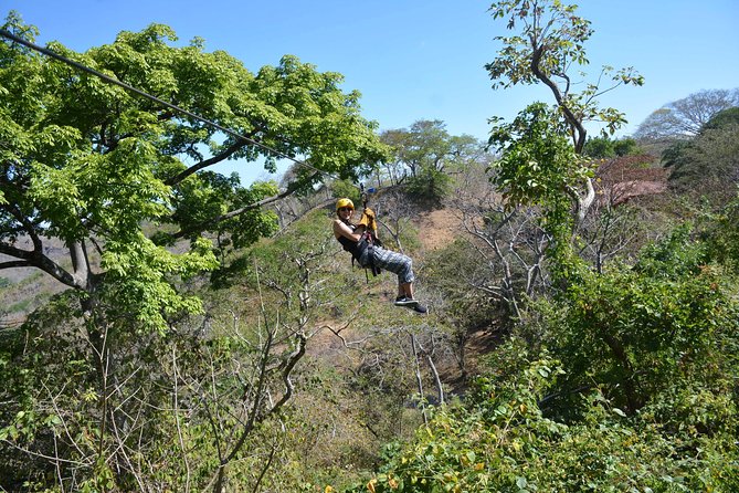 WRCT Adventures - Zip-line Tour (Private) - Personalized Experiences and Knowledgeable Guides