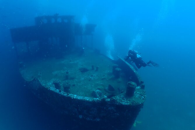 Wreck and Bridge Span Dive Charter for Certified Divers - Key Points