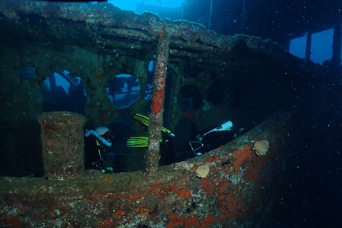 Wreck and Bridge Span Dive Charter for Certified Divers - Booking Info
