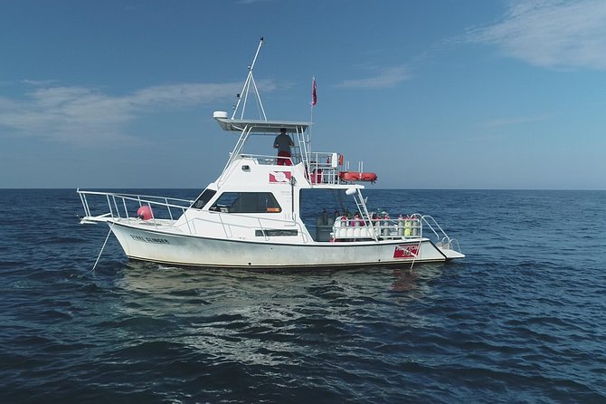 Wreck and Bridge Span Dive Charter for Certified Divers - Directions and Check-in