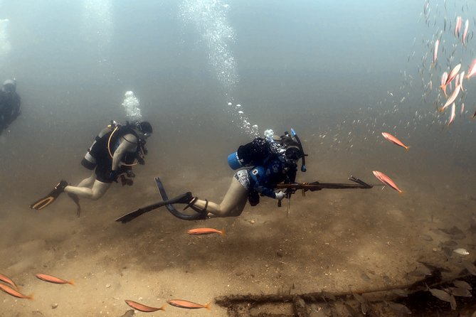 Wreck and Bridge Span Dive Charter for Certified Divers - Physical Requirements and Restrictions
