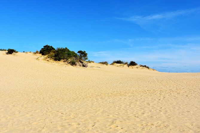 Wright Brothers Carolina Dunes Self-Guided Driving Audio Tour - History of the Wright Brothers