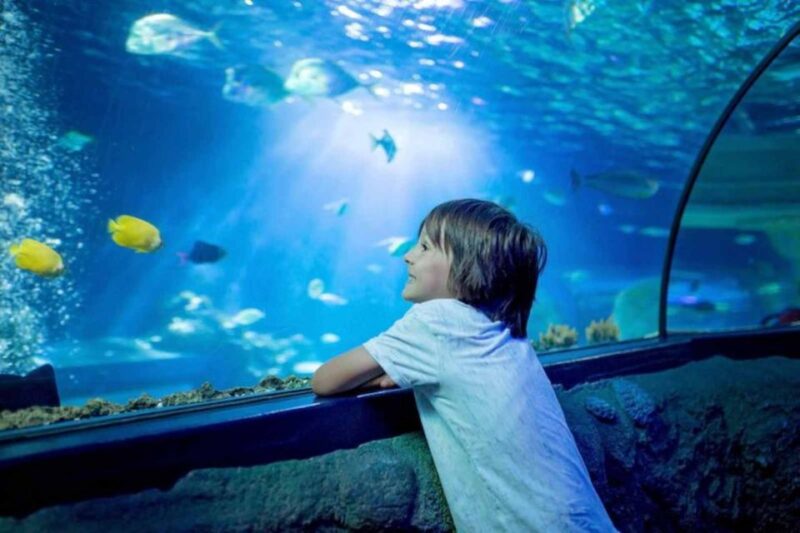 Wrocław: 2-Hour Guided Tour for Children - Guided Tour Stops