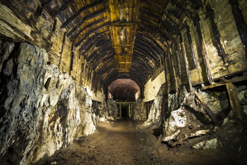 Wroclaw: Private Tour to Project Riese - Participant Information