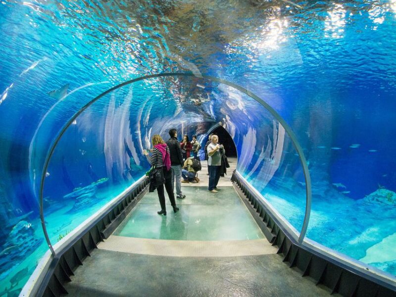 Wrocław: Wrocław Zoo Entry Ticket With Private Transfer - English-speaking Driver