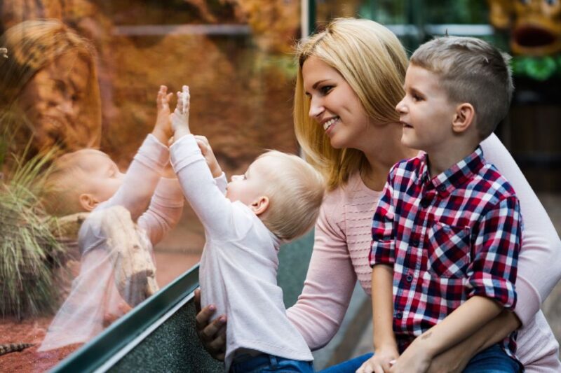 Wroclaw: Zoo With Private Transport and Tickets - Transportation Details