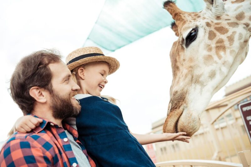 Wroclaw: Zoo With Private Transport and Tickets - Ticket Information