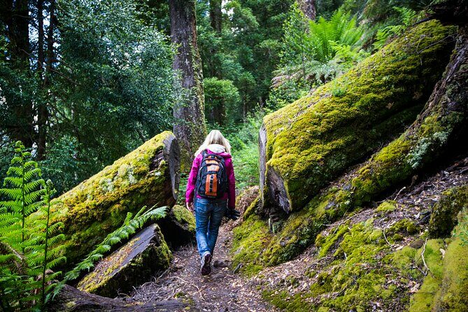 wulinantikala / Cradle Mountain Hiking Tour - 4 Days - Practical Considerations