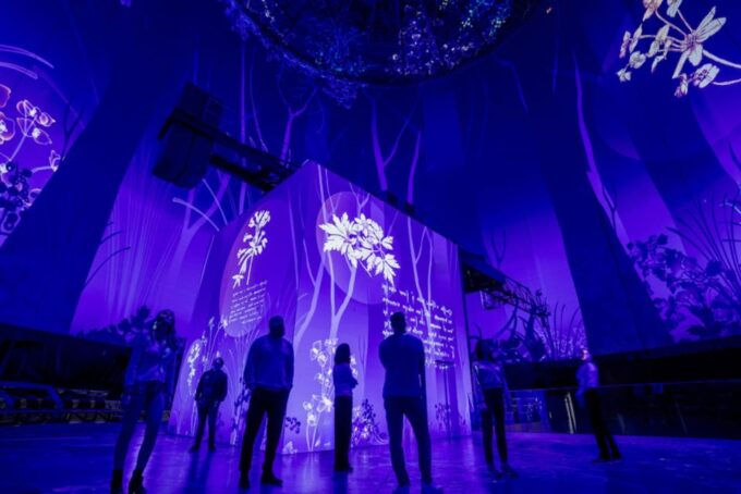 Wuppertal: Visiodrom Immersive Da Vinci Exhibition Entry - Accessibility Details