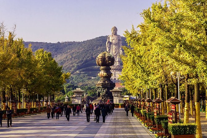 Wuxi Private Day Tour With Lingshan Buddhist Scenic Spot and Taihu Yuantouzhu - Private Tour With Lunch