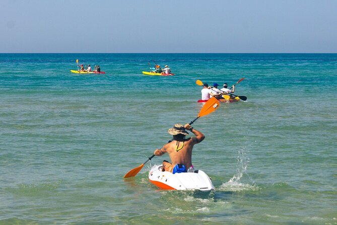 WWF Kayak Tour From Cala Manbrù to Torre Salsa Reserve - Meeting and Logistics