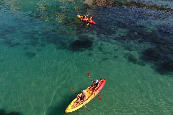 WWF Kayak Tour From Cala Manbrù to Torre Salsa Reserve - Pricing and Cancellation