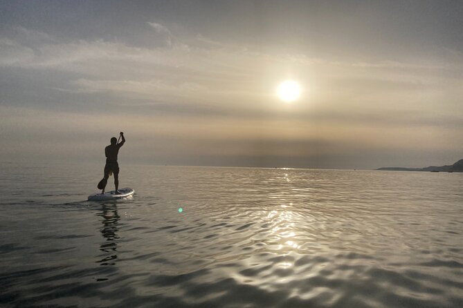 WWF SUP TOUR: From Cala Manbrù to Torre Salsa Reserve - Booking Process
