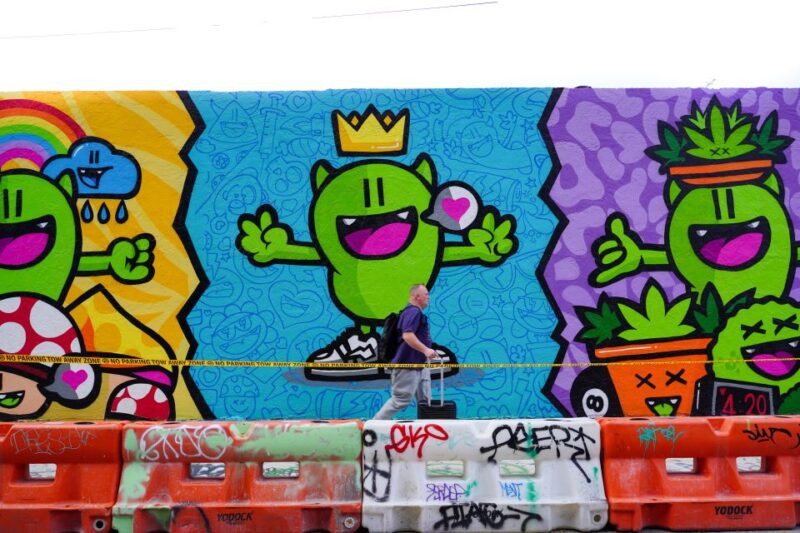 Wynwood Art District 1-Hour Wynwood Buggies Street Art Tour - Experience Highlights