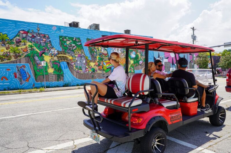 Wynwood Art District 1-Hour Wynwood Buggies Street Art Tour - Tour Details