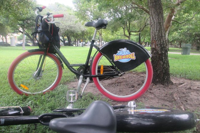 Wynwood Graffiti Electric Bike Tour - Cycling Through Downtown Miami
