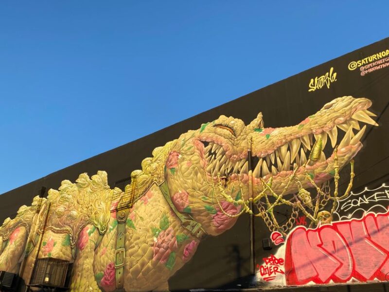 Wynwood Walking Tour in French (2h) - Highlights of the Walking Tour