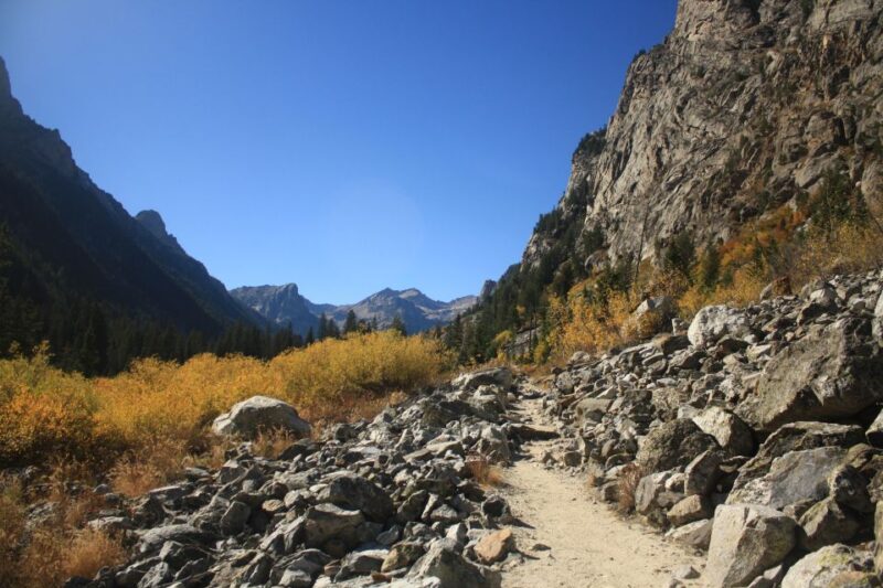 Wyoming: Grand Teton National Park Self-Guided Driving Tour - Tour Features and Highlights