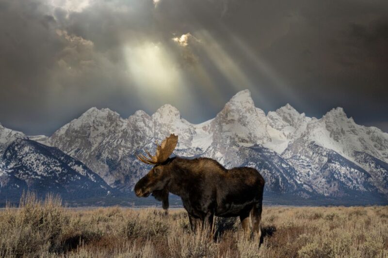 Wyoming: Grand Teton National Park Self-Guided Driving Tour - Tour Length and Attractions