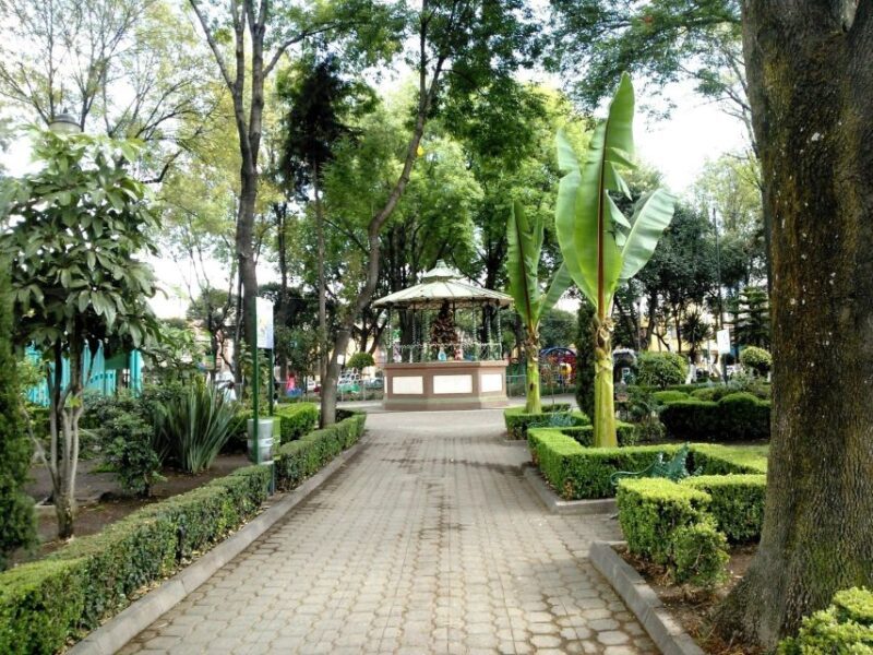 Xalapa & Coatepec Sightseeing Tour From Veracruz - Key Points