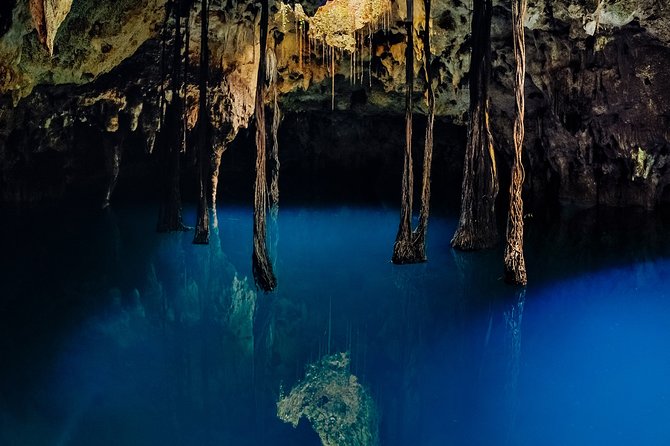Xcaret 4-Cenotes-Guided Tour- Snacks, Lunch and Drinks Included - Physical Fitness and Medical Considerations