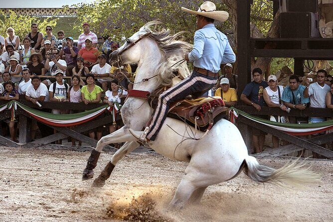 Xcaret Park Day Tour & Night Show with Transportation - Analyzing the Value