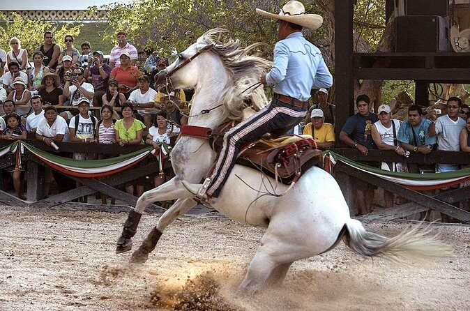 Xcaret Park Day Tour & Night Show with Transportation - The Sum Up