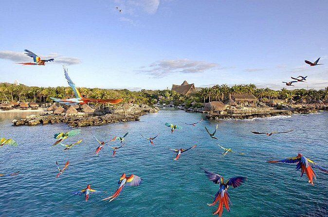 Xcaret Park Day Tour & Night Show with Transportation - Frequently Asked Questions