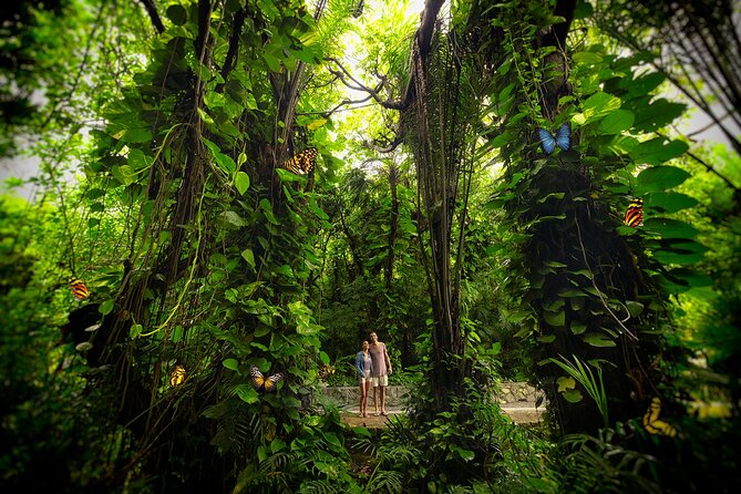 Xcaret Park Day Trip, Transportation and Cultural Night Show - Health and Safety Protocols