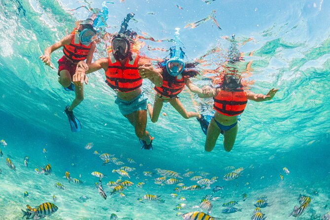 Xcaret Park Day Trip, Transportation and Cultural Night Show - What to Expect