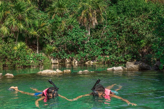 Xcaret Park Entry Tickets With Cultural Night Show Included - Visitor Information