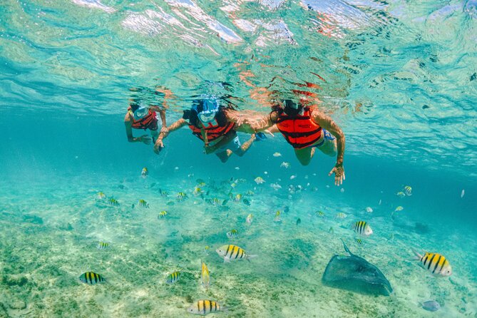 Xcaret Park Entry Tickets With Cultural Night Show Included - Customer Experiences and Reviews