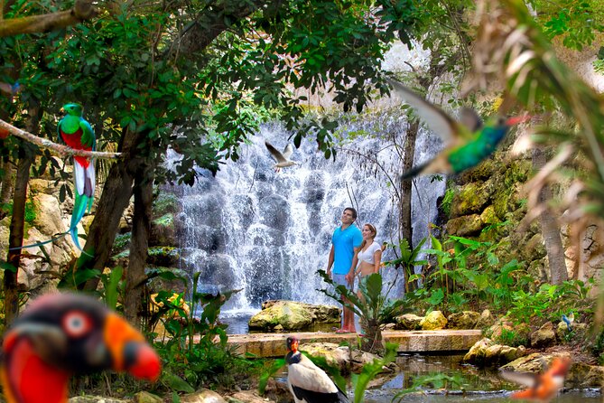 Xcaret Park Plus Access With Transportation and Night Show - Booking Process