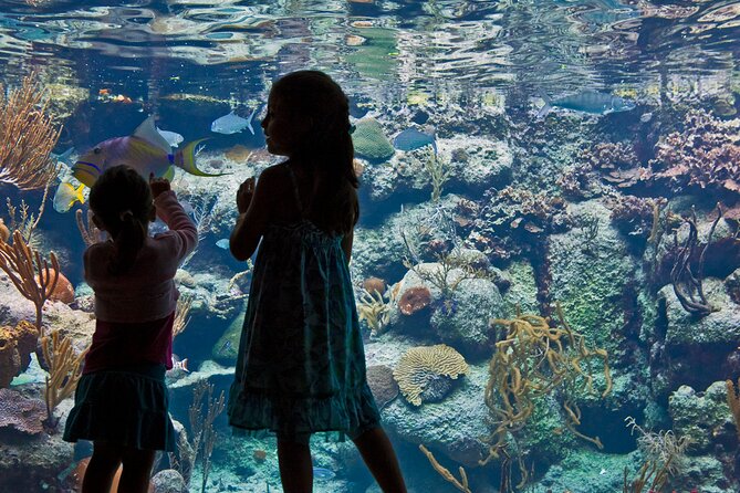 Xcaret Park Plus Access With Transportation and Night Show - Frequently Asked Questions