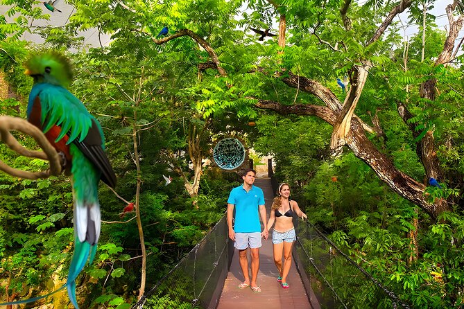Xcaret Park Plus Tour! Nature, Culture and Nightshow From Cancun - Pickup Locations and Times