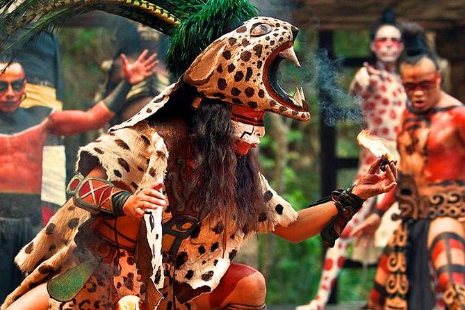 Xcaret Plus Park Tour With Transportation From Riviera Maya - Participant Age and Health Guidelines
