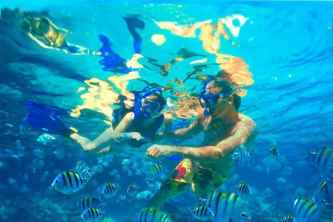 Xcaret Plus Park Tour With Transportation From Riviera Maya - Booking and Cancellation Details
