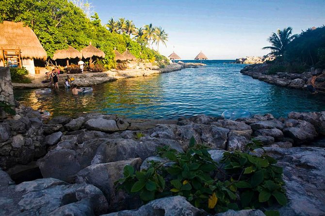 Xcaret Plus Park Tour With Transportation From Riviera Maya - Frequently Asked Questions