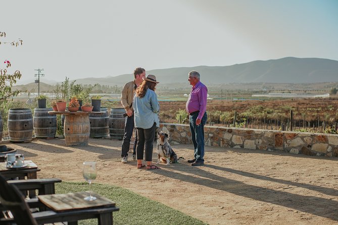 Xecue Wine Tasting in the Guadalupe Valley - Guided Tour of the Vineyard
