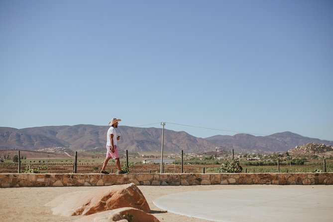 Xecue Wine Tasting in the Guadalupe Valley - Personalized Attention for Small Groups