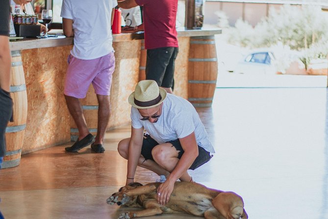 Xecue Wine Tasting in the Guadalupe Valley - Flexible Tour Times to Fit Schedule