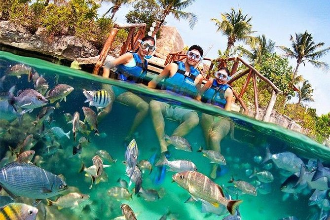 Xel-Ha All Inclusive Admission Ticket - Booking and Cancellation Policy