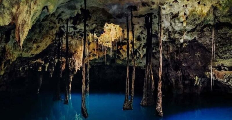 Xenotes Oasis Maya Tour - Activities and Experiences