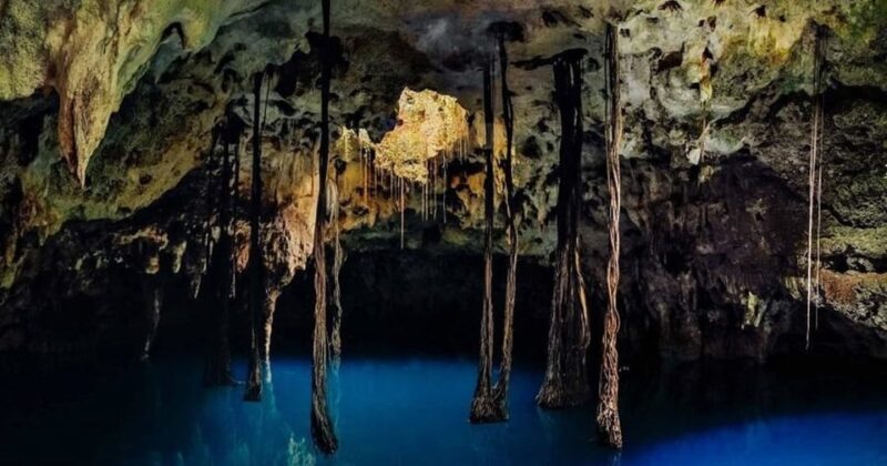 Xenotes Oasis Maya Tour - Culinary Experience